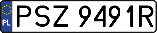 PSZ9491R