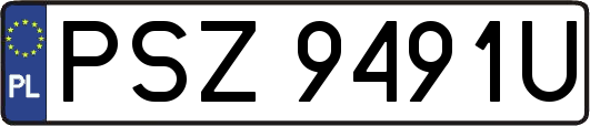 PSZ9491U