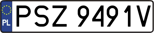 PSZ9491V