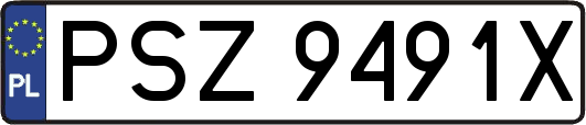 PSZ9491X