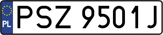 PSZ9501J