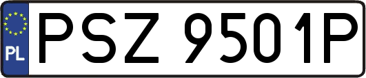 PSZ9501P
