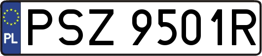 PSZ9501R