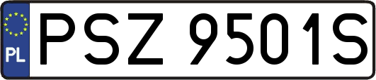 PSZ9501S