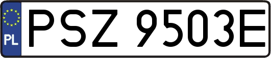 PSZ9503E