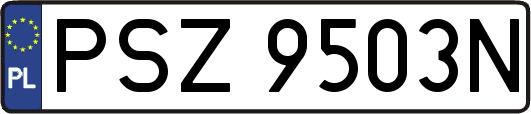 PSZ9503N