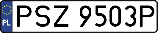 PSZ9503P