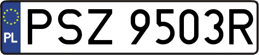 PSZ9503R