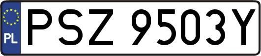 PSZ9503Y
