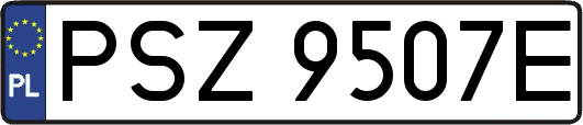 PSZ9507E