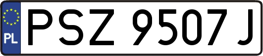 PSZ9507J