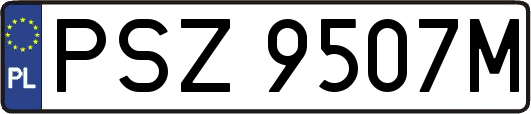PSZ9507M