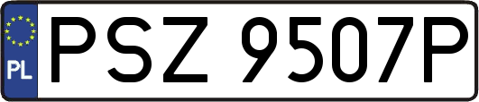 PSZ9507P