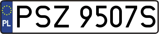 PSZ9507S