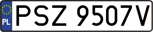 PSZ9507V