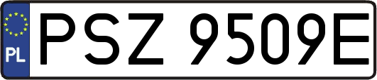 PSZ9509E