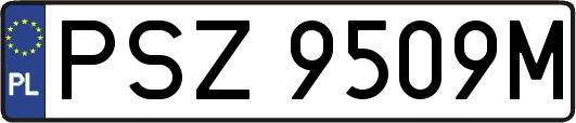 PSZ9509M