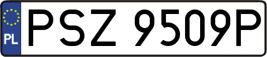 PSZ9509P