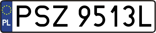 PSZ9513L