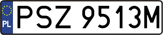 PSZ9513M