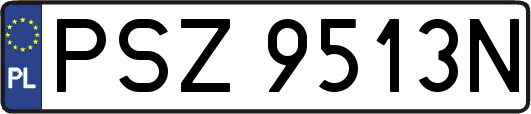 PSZ9513N