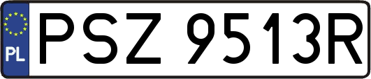 PSZ9513R
