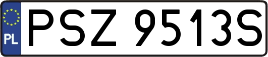 PSZ9513S