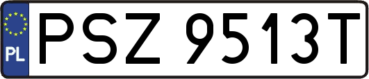 PSZ9513T