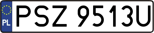 PSZ9513U