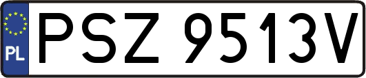 PSZ9513V