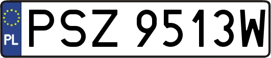PSZ9513W