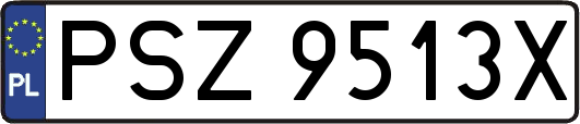 PSZ9513X