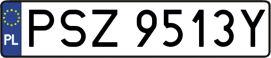 PSZ9513Y