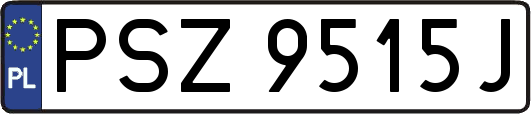 PSZ9515J