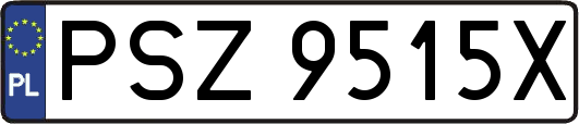 PSZ9515X
