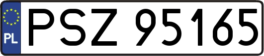 PSZ95165