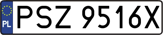PSZ9516X