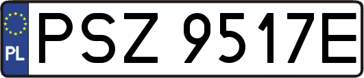 PSZ9517E