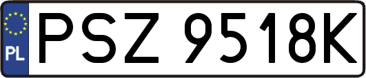PSZ9518K