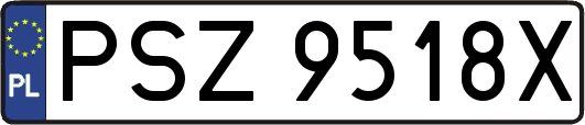 PSZ9518X