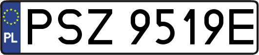 PSZ9519E