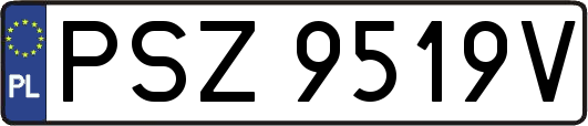 PSZ9519V