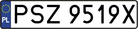 PSZ9519X