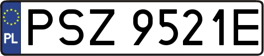 PSZ9521E