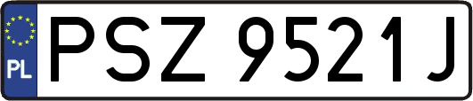 PSZ9521J