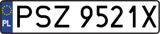 PSZ9521X
