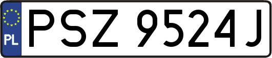 PSZ9524J