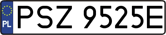 PSZ9525E