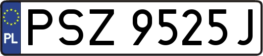 PSZ9525J