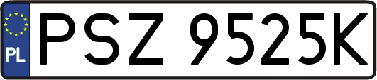 PSZ9525K